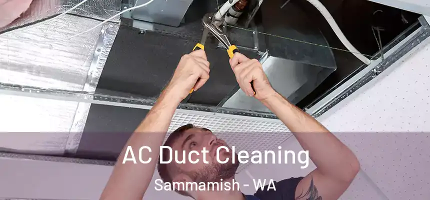  AC Duct Cleaning Sammamish - WA