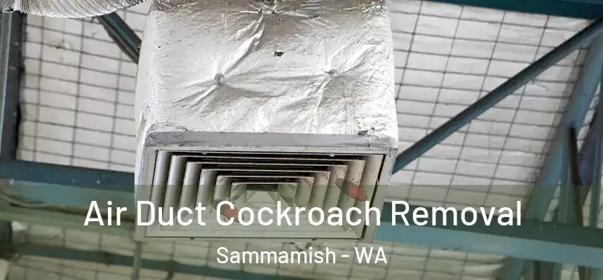 Air Duct Cockroach Removal Sammamish - WA
