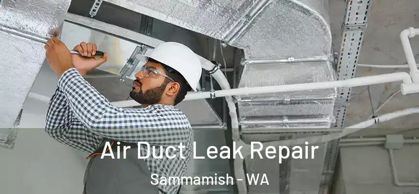 Air Duct Leak Repair Sammamish - WA