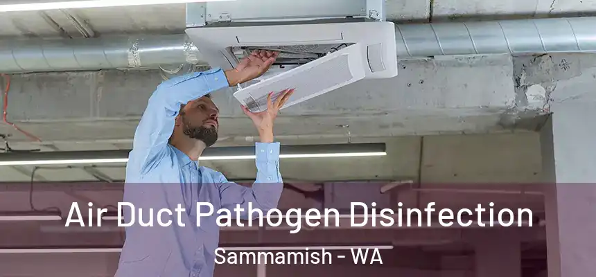 Air Duct Pathogen Disinfection Sammamish - WA