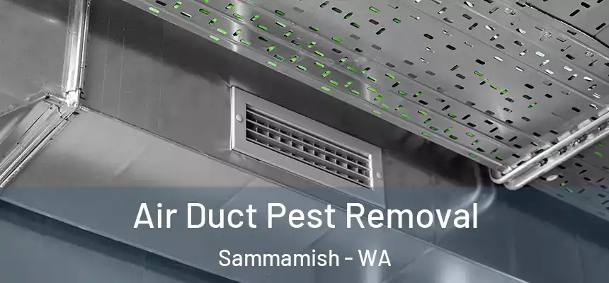 Air Duct Pest Removal Sammamish - WA