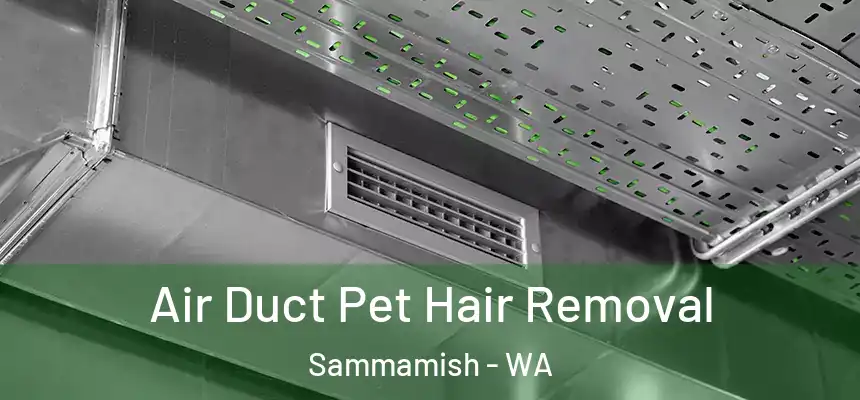 Air Duct Pet Hair Removal Sammamish - WA