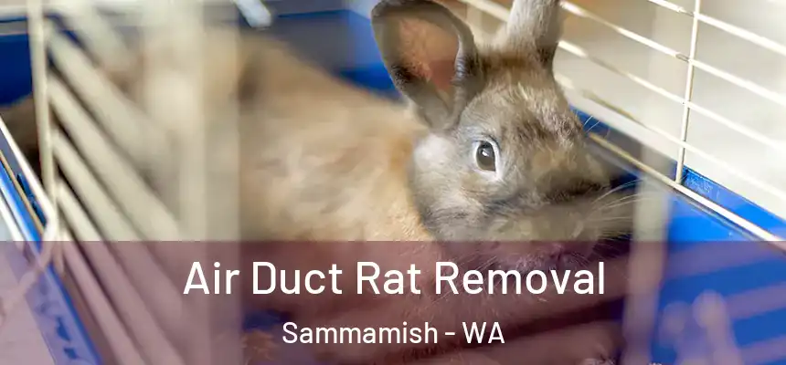  Air Duct Rat Removal Sammamish - WA