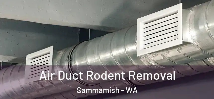  Air Duct Rodent Removal Sammamish - WA
