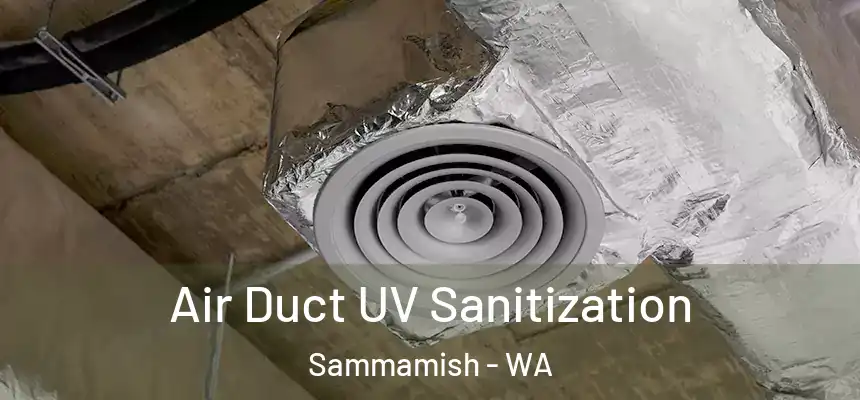 Air Duct UV Sanitization Sammamish - WA