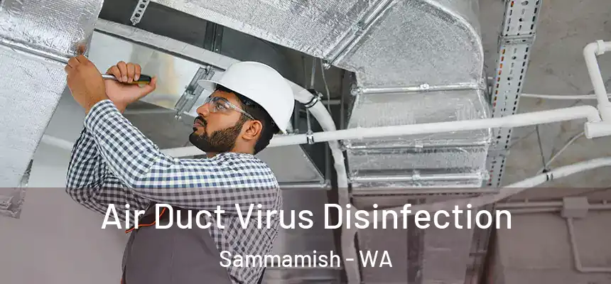  Air Duct Virus Disinfection Sammamish - WA
