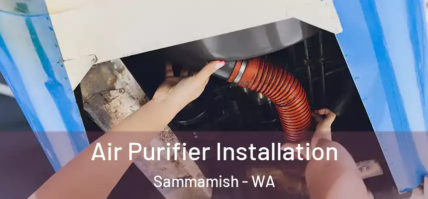 Air Purifier Installation Sammamish - WA