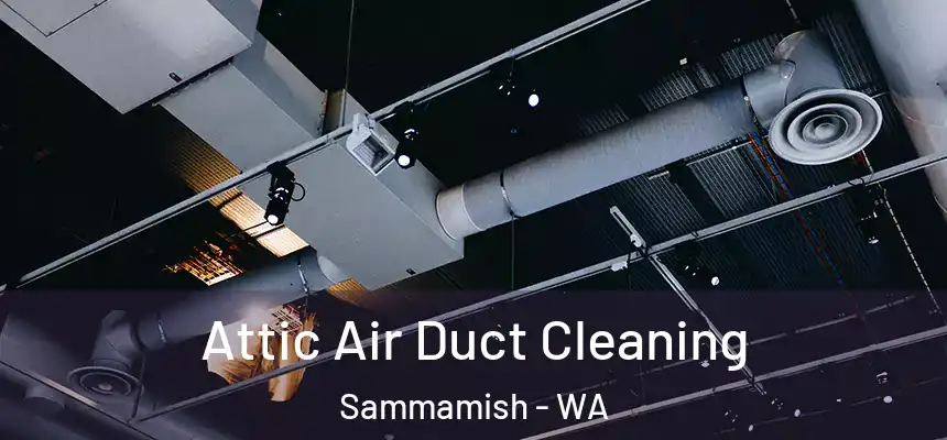 Attic Air Duct Cleaning Sammamish - WA