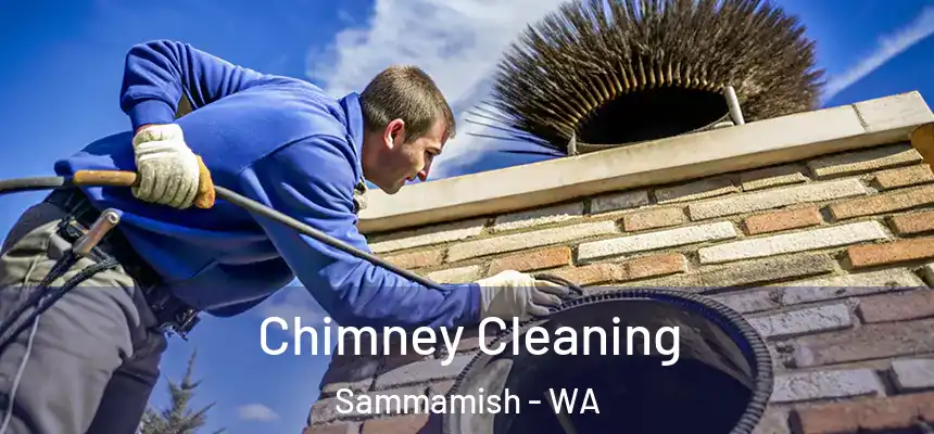 Chimney Cleaning Sammamish - WA