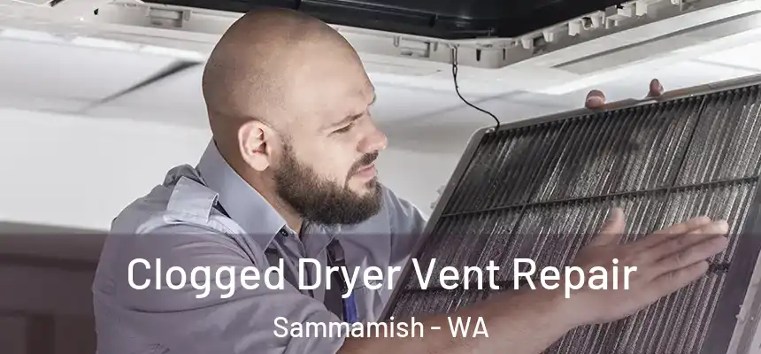 Clogged Dryer Vent Repair Sammamish - WA