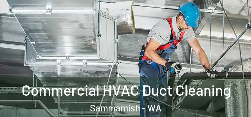 Commercial HVAC Duct Cleaning Sammamish - WA