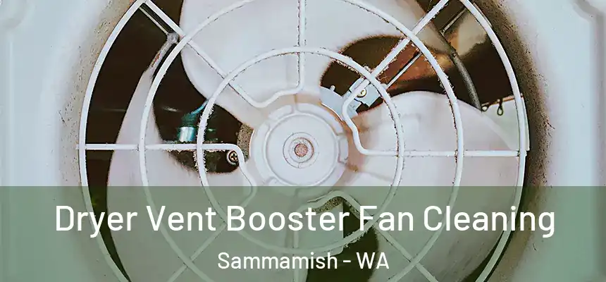 Dryer Vent Booster Fan Cleaning Sammamish - WA
