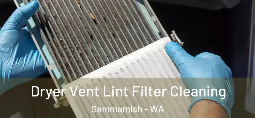 Dryer Vent Lint Filter Cleaning Sammamish - WA