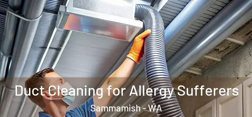 Duct Cleaning for Allergy Sufferers Sammamish - WA