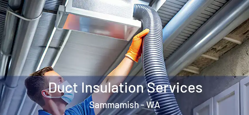 Duct Insulation Services Sammamish - WA