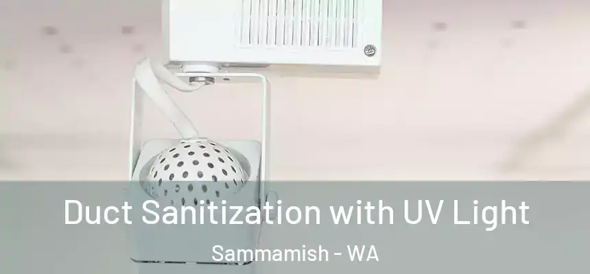 Duct Sanitization with UV Light Sammamish - WA