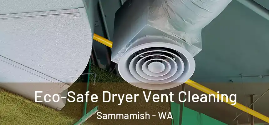 Eco-Safe Dryer Vent Cleaning Sammamish - WA