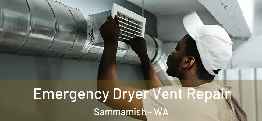  Emergency Dryer Vent Repair Sammamish - WA