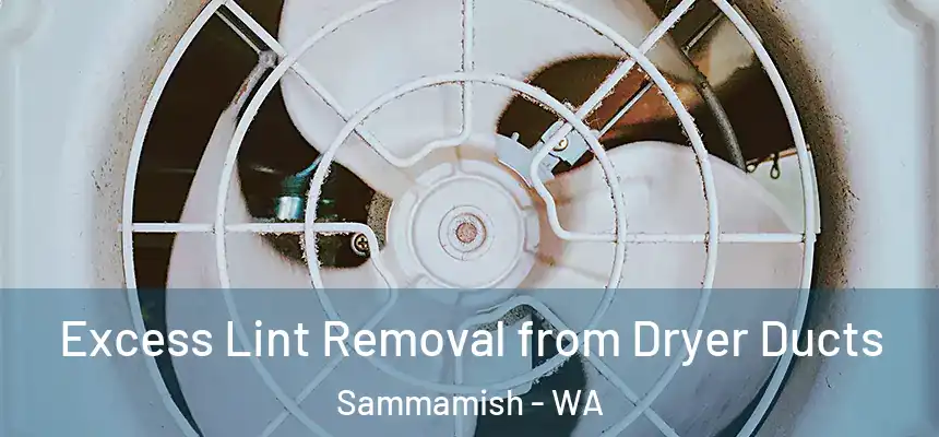  Excess Lint Removal from Dryer Ducts Sammamish - WA