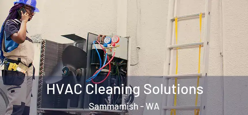 HVAC Cleaning Solutions Sammamish - WA