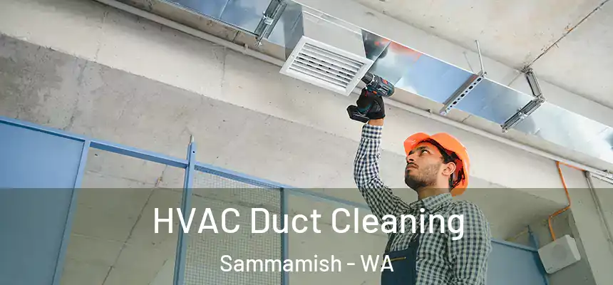 HVAC Duct Cleaning Sammamish - WA