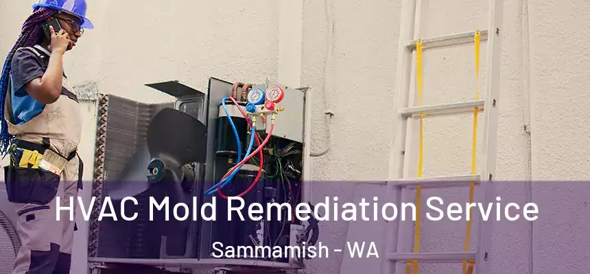  HVAC Mold Remediation Service Sammamish - WA