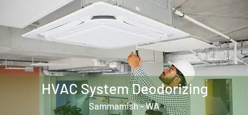 HVAC System Deodorizing Sammamish - WA