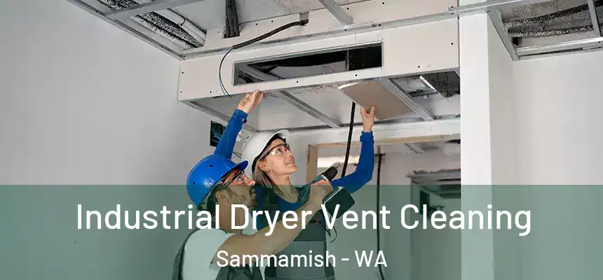  Industrial Dryer Vent Cleaning Sammamish - WA