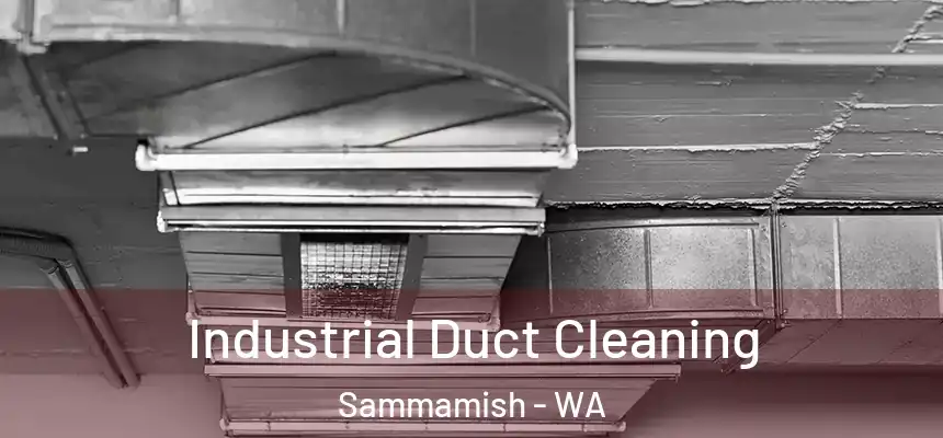 Industrial Duct Cleaning Sammamish - WA