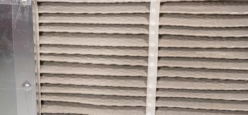 Mobile Car AC Filter Replacement in Sammamish