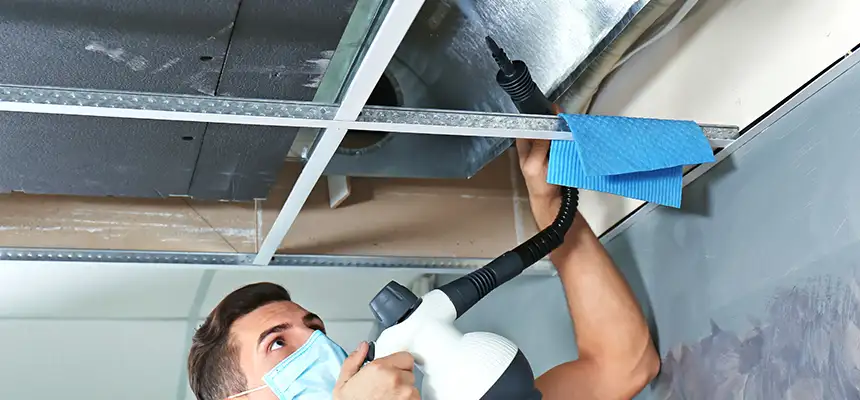 Our Air Duct Rodent Removal Services in Sammamish, WA