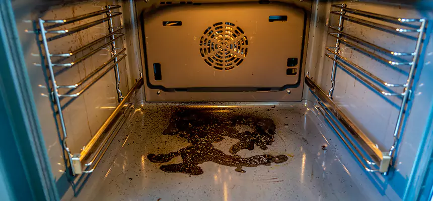 Our Air Purifier Installation Services in Sammamish, WA