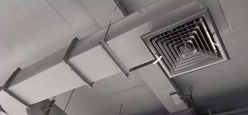 Restorative Allergy Relief Vent Cleaning – Coil, Blower & Housing Detail in Sammamish