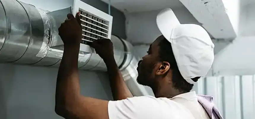 Our Licensed And Insured Cleaners in Sammamish, WA