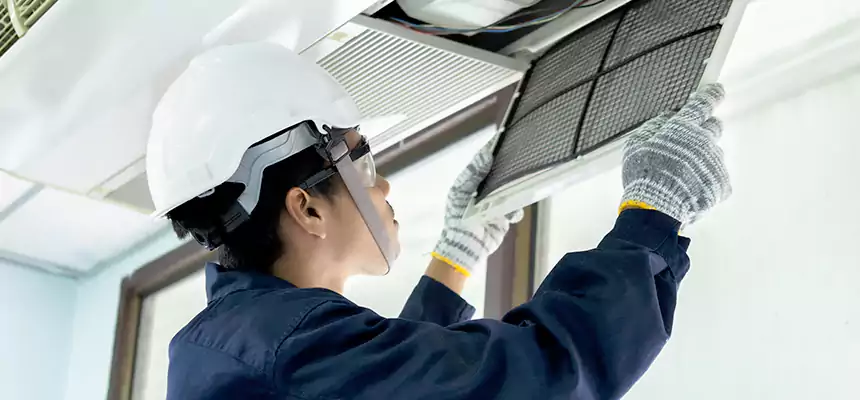 Our Mold & Mildew Removal from Air Ducts Services in Sammamish, WA