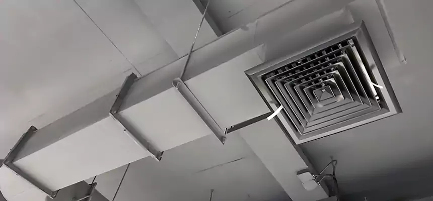 Our Pest Removal From Ducts Services in Sammamish, WA