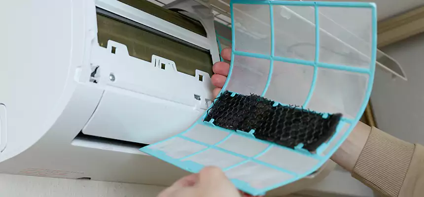 Gentle Ductwork Odor-Control Pet Dander Duct Cleaning in Sammamish, WA