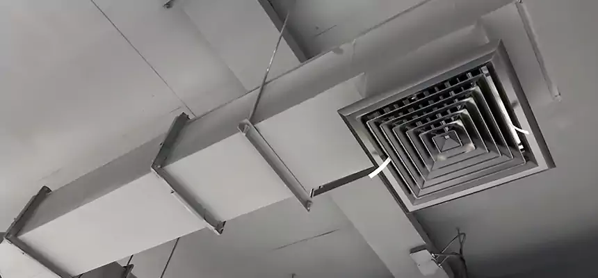 Our Rodent Droppings In Vents Services in Sammamish, WA