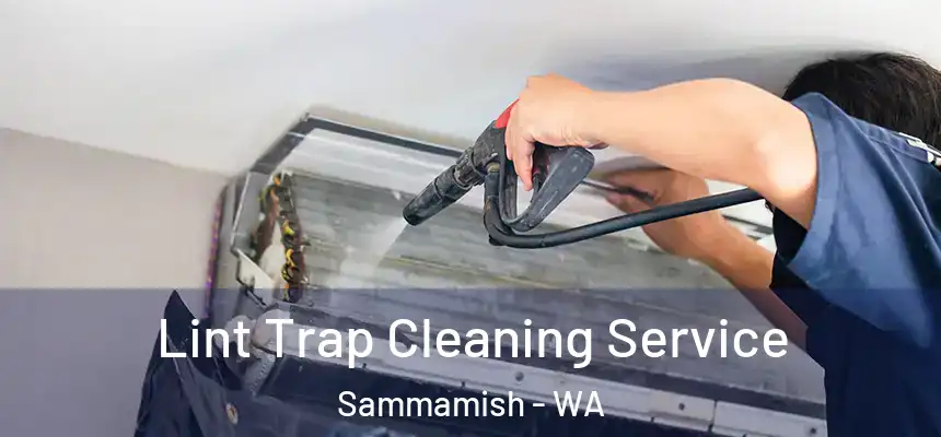 Lint Trap Cleaning Service Sammamish - WA