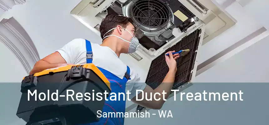  Mold-Resistant Duct Treatment Sammamish - WA