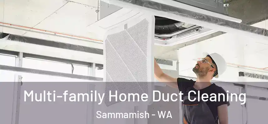 Multi-family Home Duct Cleaning Sammamish - WA