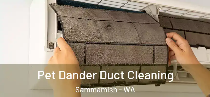 Pet Dander Duct Cleaning Sammamish - WA