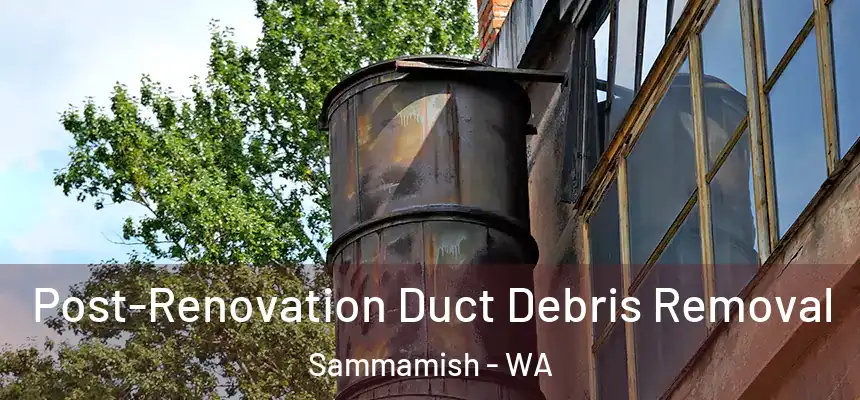  Post-Renovation Duct Debris Removal Sammamish - WA