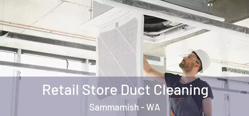 Retail Store Duct Cleaning Sammamish - WA