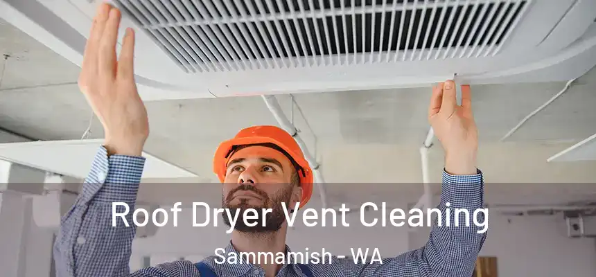 Roof Dryer Vent Cleaning Sammamish - WA