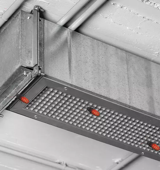About Air Duct Cockroach Removal in Sammamish, WA