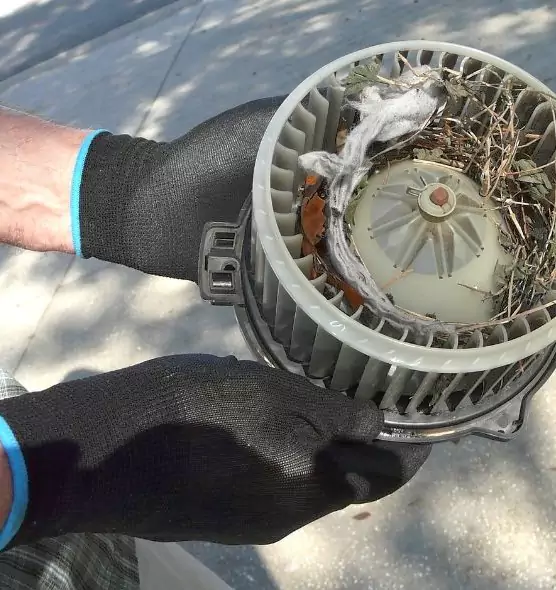 About Air Duct Rat Removal in Sammamish, WA