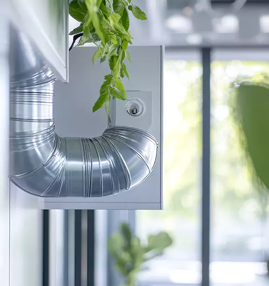 Professional Eco-Safe Dryer Vent Cleaning in Sammamish, WA