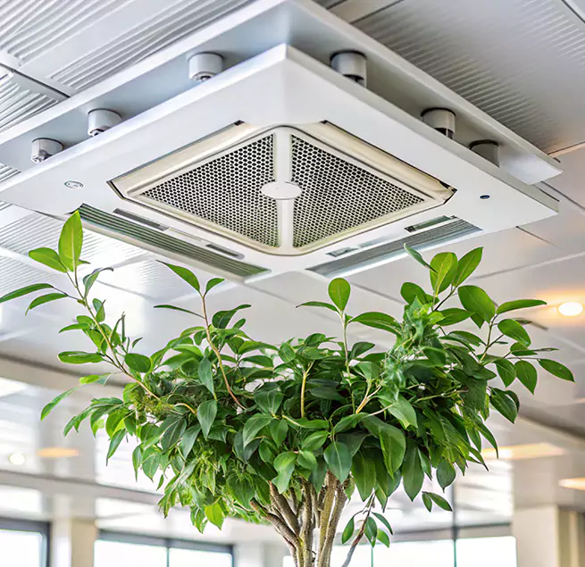 Why Homeowners & Businesses Trust Us in Sammamish, WA?