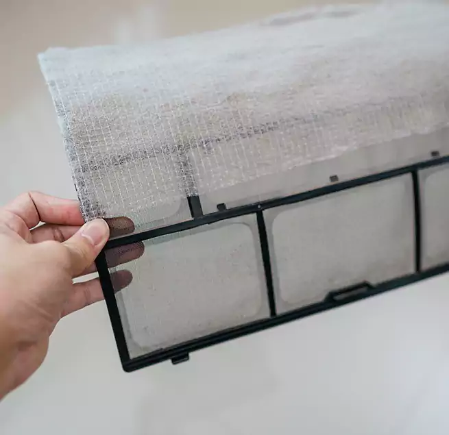 Why Homeowners & Businesses Trust Us in Sammamish, WA?